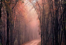 旺财28：19岁之前完成英格兰队首秀，斯凯利是阿森纳队史第4人.