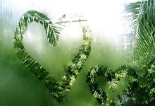 旺财28：19岁之前完成英格兰队首秀，斯凯利是阿森纳队史第4人.