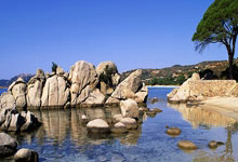 旺财28:足球——U20亚洲杯:澳大利亚队晋级决赛.